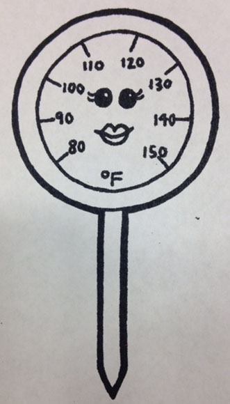 Grill Buddies: Thermometer