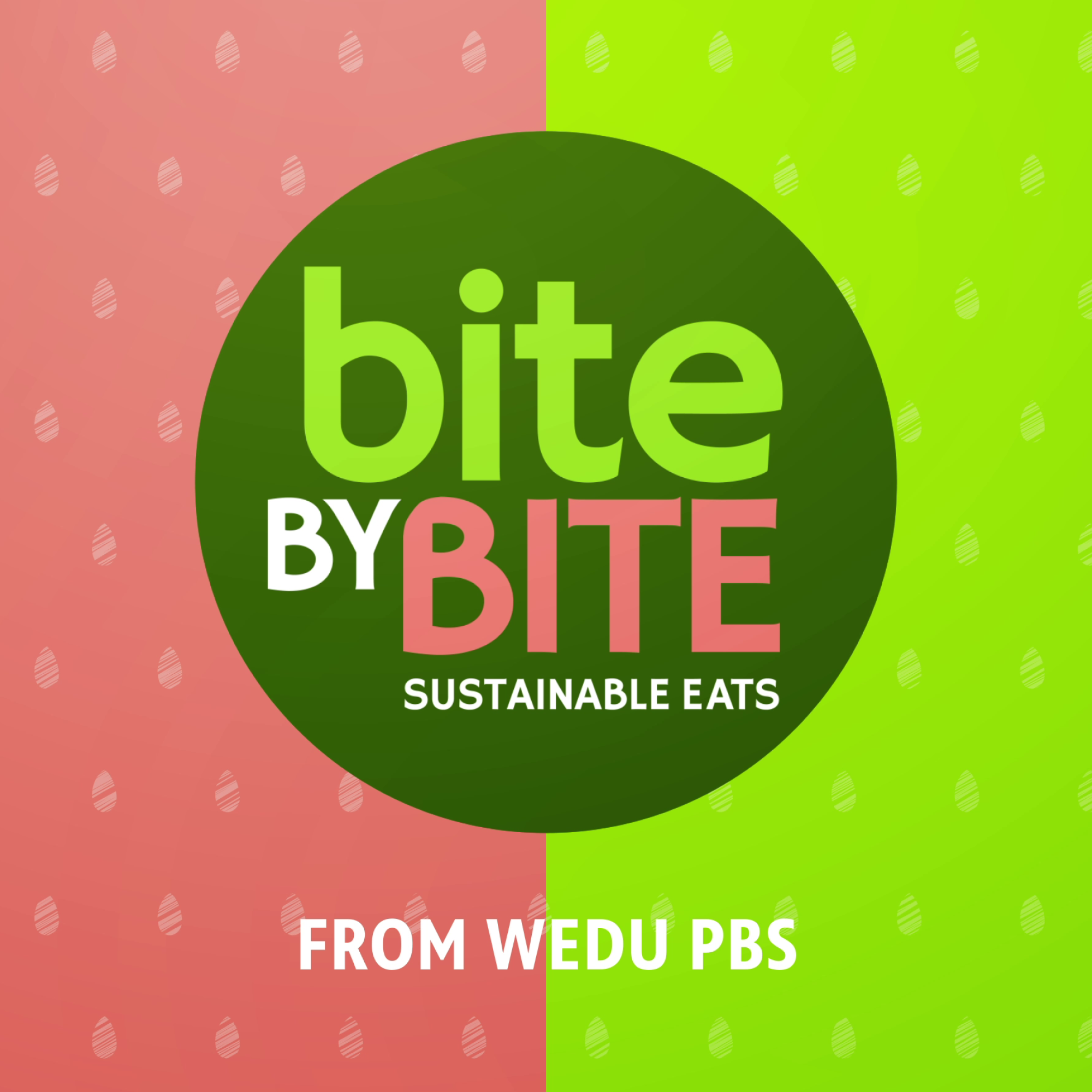 Bite by Bite: Sustainable Eats